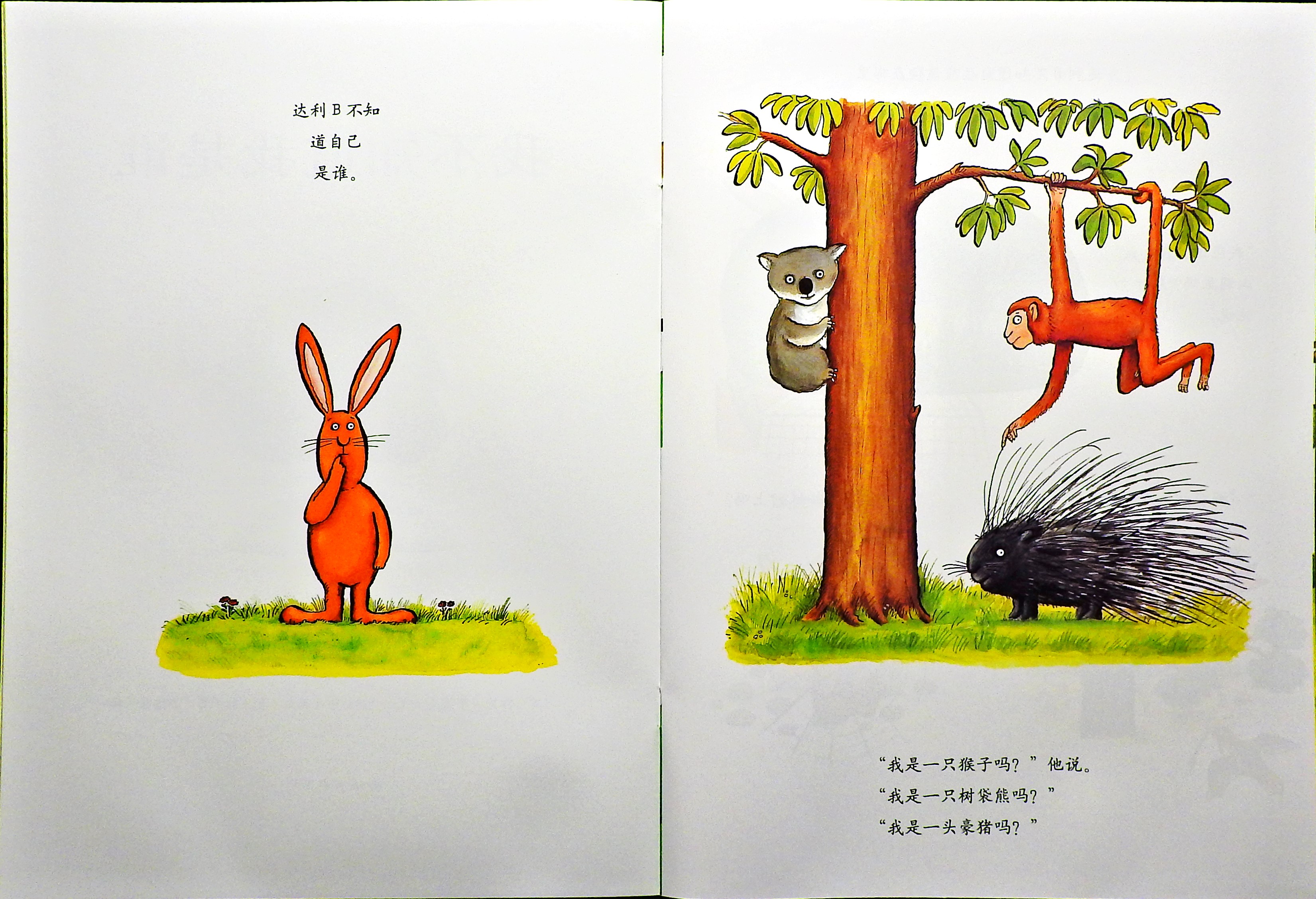 我不知道我是谁 (04),绘本,绘本故事,绘本阅读,故事书,童书,图画书,课外阅读